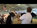 Johnson County Fair 2022 4-H Dairy and Gilt shows Daily Journal