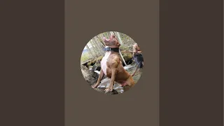 DARKDYNASTYK9S is live!
