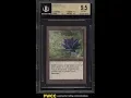 NEW AGE OF MTG INVESTING 60 000 Alpha Black Lotus on eBay AUCTION BULL MARKET you CANNOT DENY
