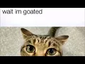 Lagu Wait I’m Goated