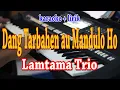 DANG TARBAHEN AU DOPE MANDULO HO [KARAOKE] LAMTAMA TRIO