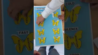 Synonym and Antonym project model for school