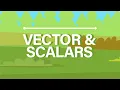 What are Vector and Scalar Quantities