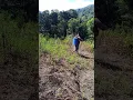 Download Lagu Orange Farmer's Routine #shorts #video #youtube #orange #farmer #shortvideo #shortsfeed #short