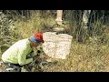 Download Lagu Abandoned Waffle House Hides 180-Year-Old Plantation Cemetery!