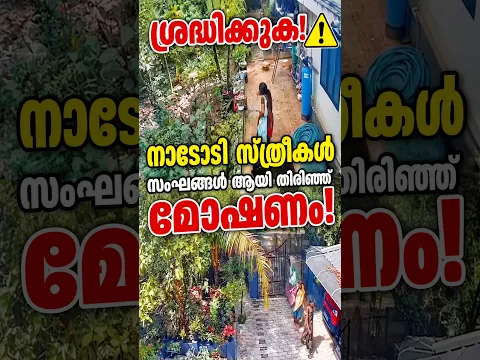 നാടോടി സ്ത്രീകൾ അടങ്ങുന്ന സംഘം രംഗത്ത് #gold #facts #news #latest #kerala #malayalam