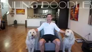 Sailing Doodles – S1:E01