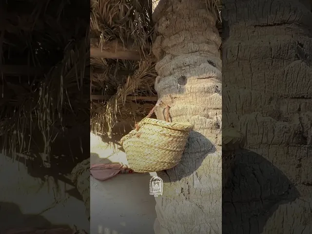 ⁣السلام عليك يا فاطمة الزهراء يا بنت رسول الله -  #جامعة_آل_البيت_العالمية #اكسبلور #لايك #ترند