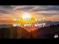 Shawn Mendes - Why Why Why (Lyrics)