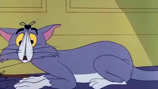 Tom And Jerry Cartoon Episode 140 Of Feline Bondage 1965 Funny Animals Cartoons For Kids 