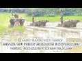 Download Lagu BADAI TOPAN  || SINGA TERBANG || SELAT MAZ || PAMAJIRAN DI LAP, HE BANGKANG EPS_02