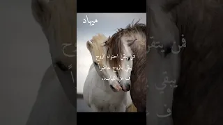 من يتقن احتواء الروح يبقي حاضرا حتي ف عز الغياب 