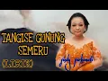 Download Lagu TANGISE GUNUNG SEMERU (LIRIK) SINDY PURBAWATI#coverlagu #gunungsemeru