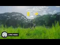 “Dilaw” - Maki (Official Lyric Video)