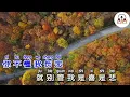 Download Lagu Shen Ye De Jiu 深夜的酒 -  Da Huan 大欢 VOCAL