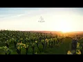 Lane 8 feat. Elderbook - Grapevine | 1 Hour Mix (Apantou Mix)