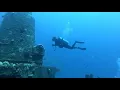 Aloha Scuba Diving the Sea Tiger