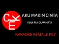 Download Lagu AKU MAKIN CINTA -  VINA PANDUWINATA   KARAOKE FEMALE KEY