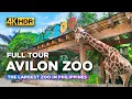 Download Lagu AVILON ZOO Full Tour | WHAT TO SEE Inside the Largest ZOO in the Philippines?【4K HDR】