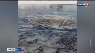 На реке Омь появился подводный гейзер