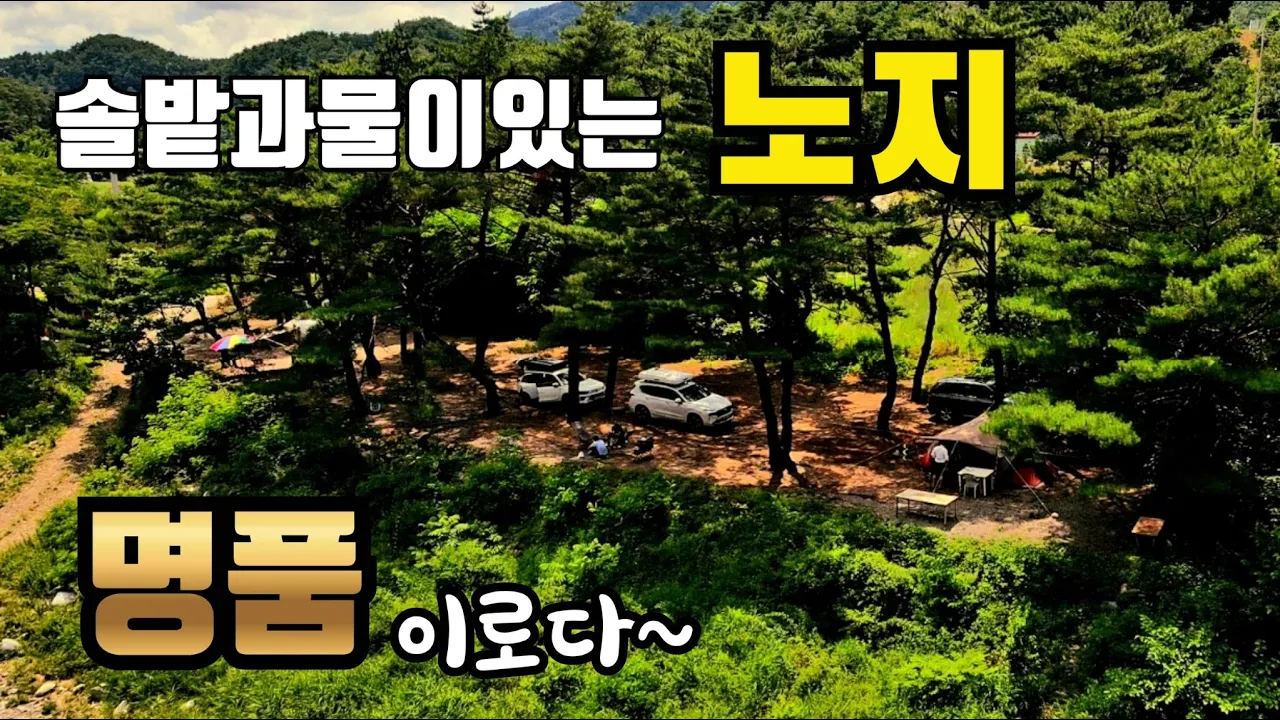 85 솔밭과 물이 있는노지캠핑 내린천 솔밭 노지 영상입니다. 캠핑 / 노지캠핑 / 차박캠핑 / 여름캠핑지 /  캠핑메뉴 / 캠핑요리 썸네일