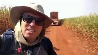 Report Fantastic Program - Pilgrimage of pilgrims to the Basilica of Aparecida