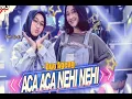 Download Lagu Aca Aca Nehi Nehi (Dangdut Koplo) Duo Ageng