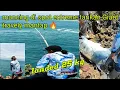 Download Lagu Mancing Rock Fishing di spot extreme ❗❗❗