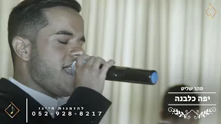 סהר שליט יפה כלבנה חופה 