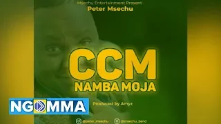 peter msechu ccm namba moja official audio 