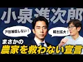 Download Lagu 進次郎、農家戸別補償をしない宣言！農水大臣の資格なし！[三橋TV第1066回]三橋貴明・菅沢こゆき