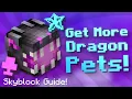 Maximize Your Ender Dragon Pet Drops Hypixel Skyblock Guide