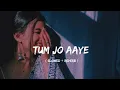 Lagu Mix (slowed+reverb) TUM JO AAYE JINDAGI MEIN BAAT BAN GAI #lofisong #lofimusic #life #sedsong 