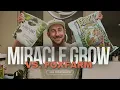 Miracle Grow vs FoxFarm Soil