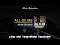 John Legend - All of me terjemahan indonesia