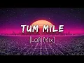 Tum Mile Lofi | Javed Ali Pritam | Tum Mile