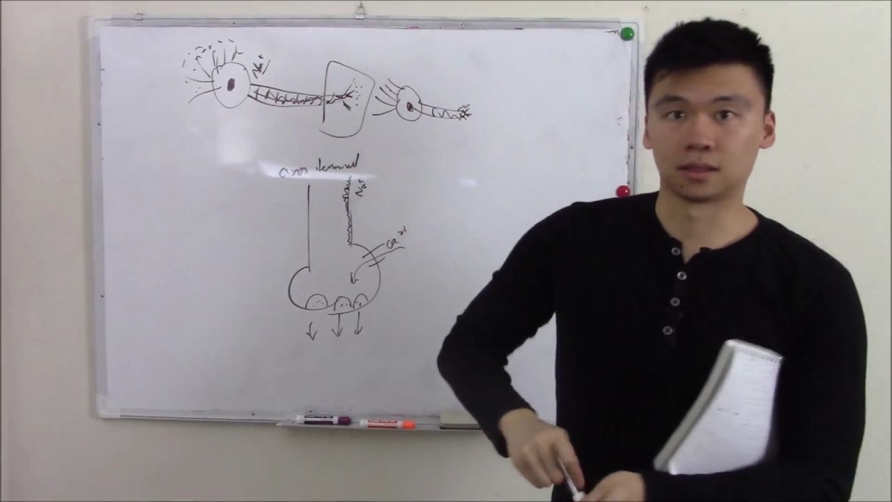 USMLE Neurology 27 Neuro Pathology: Seizures and Pharmacology, Sleep Disorders
