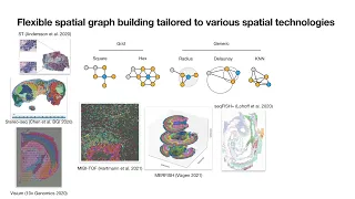 08 Spatial Transcriptomics analysis with Squidpy