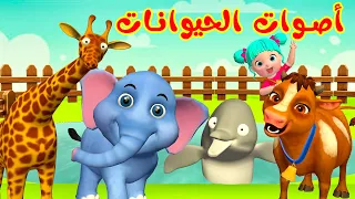 حيوانات حيوانات قناة فرفشة للأطفال 