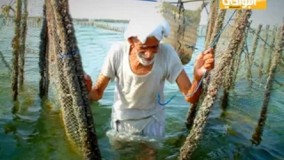 برنامج تراثنا الحلقة الأولى ضيف الحلقة العم صقر فهد الغربه 