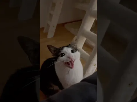 :)
