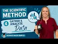 The Scientific Method for Middle School Step 4 Gathering Analyzing Data
