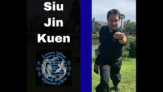 Download Siu Jin Kuen instructional MP3