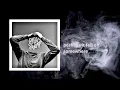 Mark Stephen Pelfrey - Wild Stranger [Official Audio]