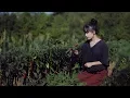 Download Lagu What defines Sichuan cuisine—spicy bean paste 香喷喷、火辣辣、让人垂涎三尺的川菜之魂----豆瓣酱 | Liziqi Channel
