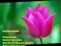KAYBOLURUM  Dagbey Şiirleri Ali Dogan