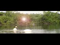 Swans 2   Ku'u Kika Kahiko (My Old Guitar)ArtistOzzie Kotani