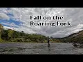 Current Roaring Fork Fly Fishing Conditions - Euronymphing on the Western Slope During Fall