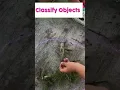 Easy Science activity for Kindergarten 1st or 2nd grade
