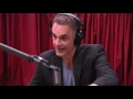 Lagu Jordan Peterson Explains the Male Dominance Hierarchy - The Joe Rogan Experience